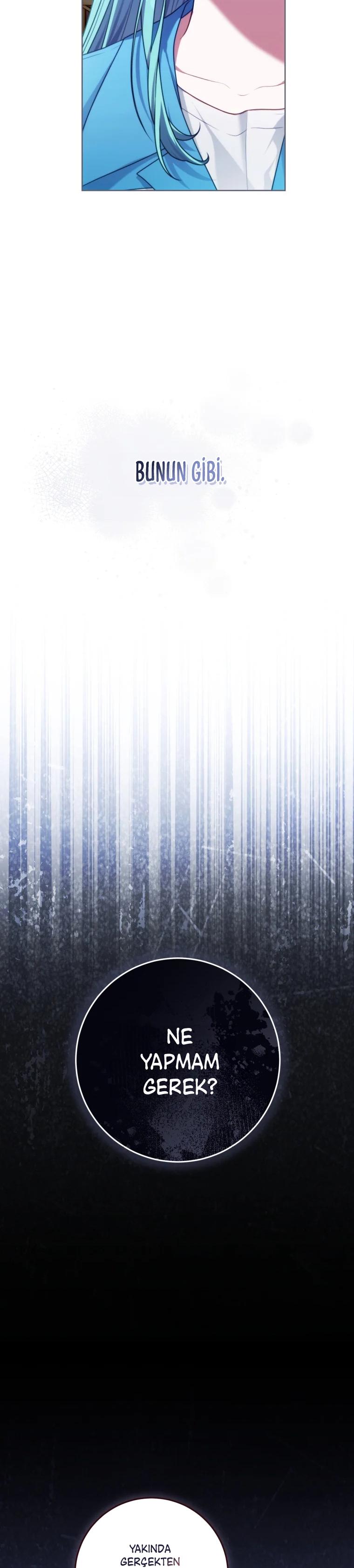 33-cm2xdfr0s0001tt82570od8ls