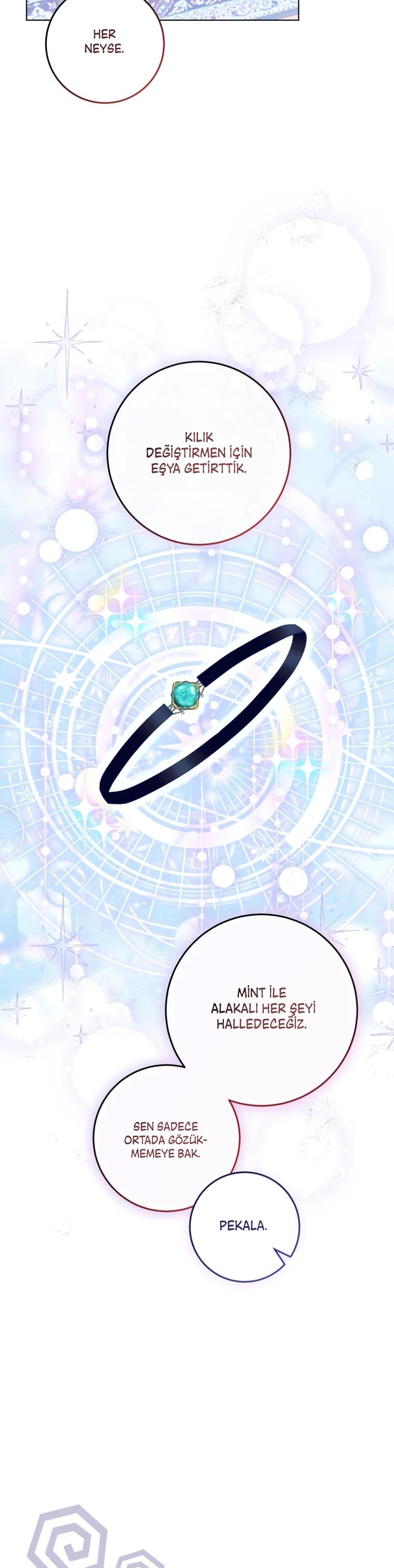 17-cm2xdfr0s0001tt82570od8ls