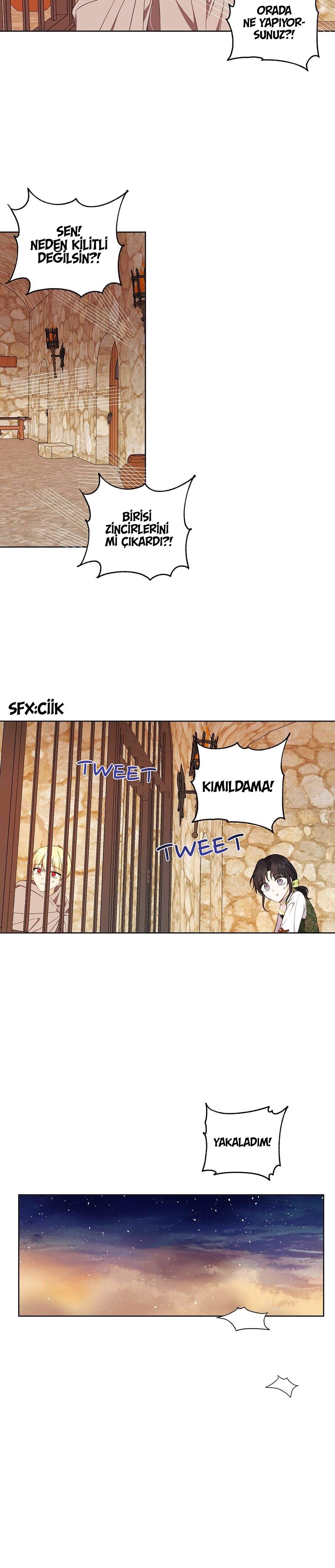23-cmc1vvo430025phxcd4xhnki2