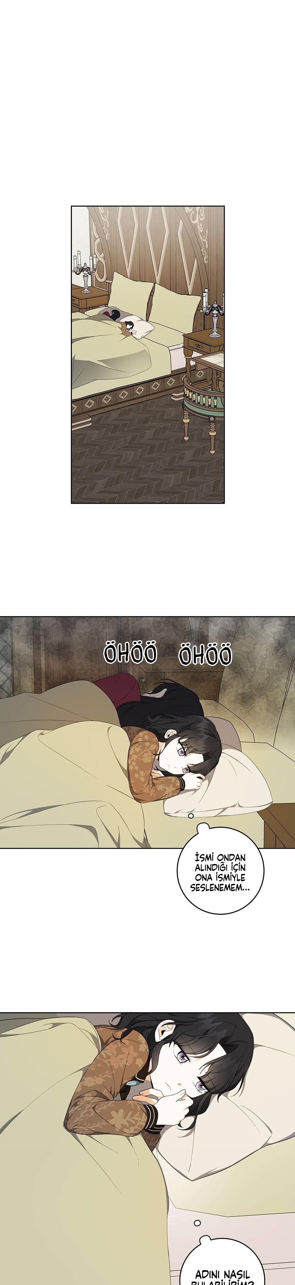 2-cmc1vvo430025phxcd4xhnki2