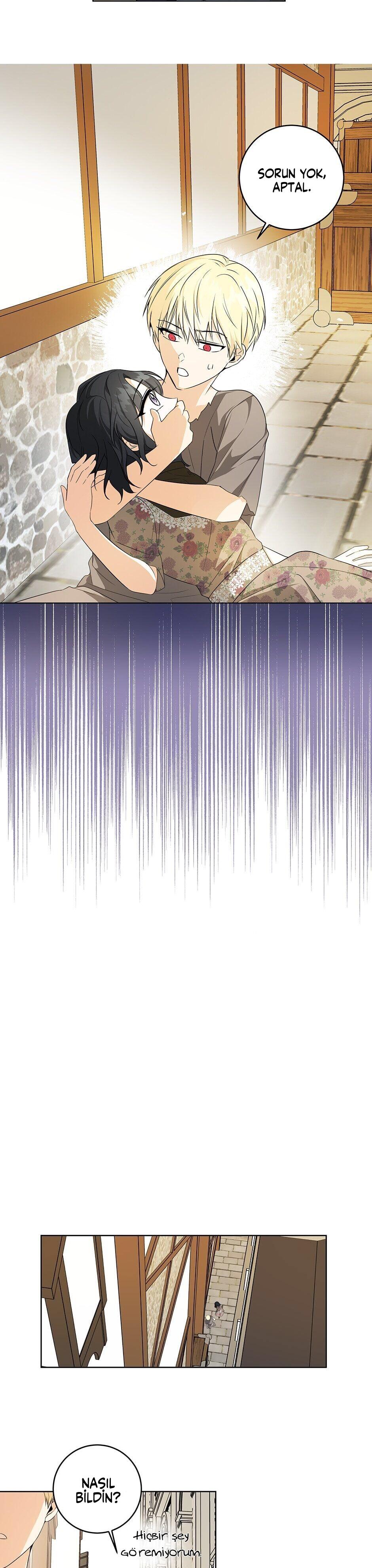 6-cmc1vvo430025phxcd4xhnki2