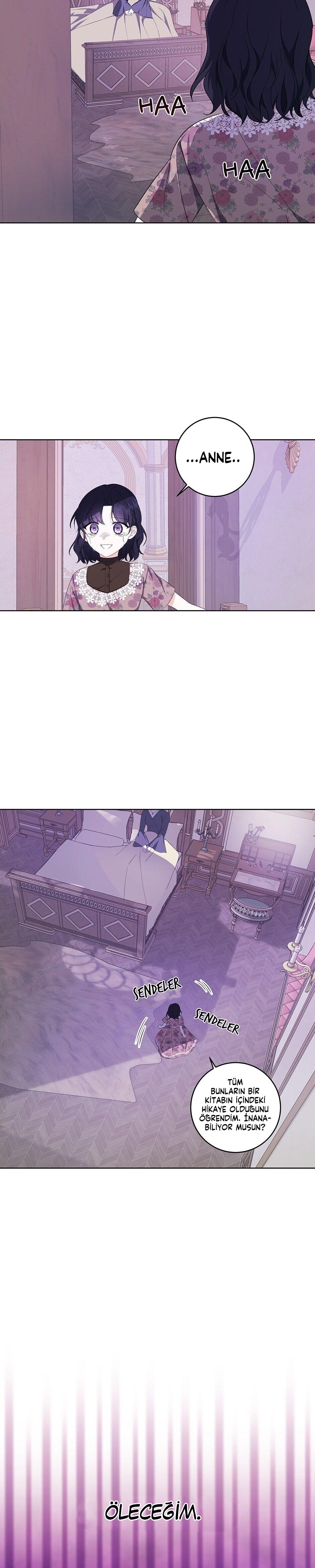 7-cmc1vvo430025phxcd4xhnki2