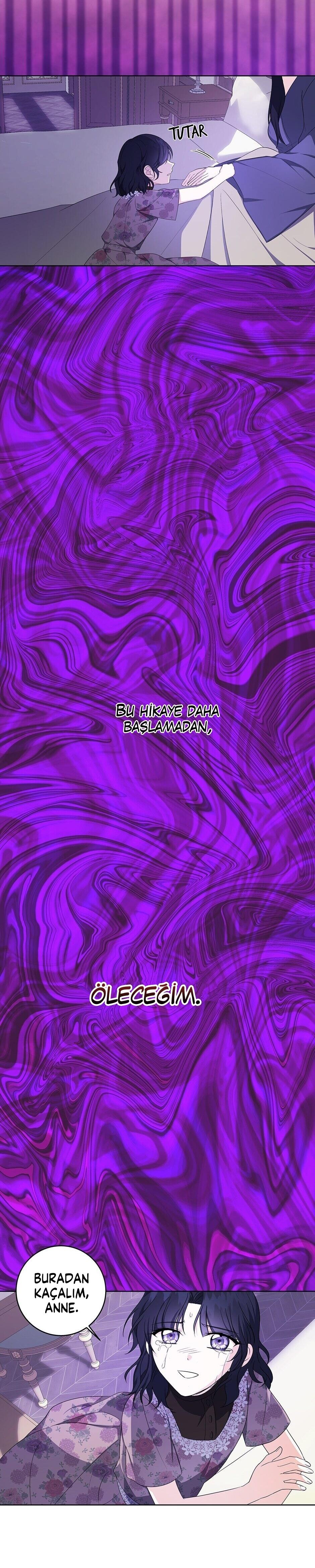 8-cmc1vvo430025phxcd4xhnki2