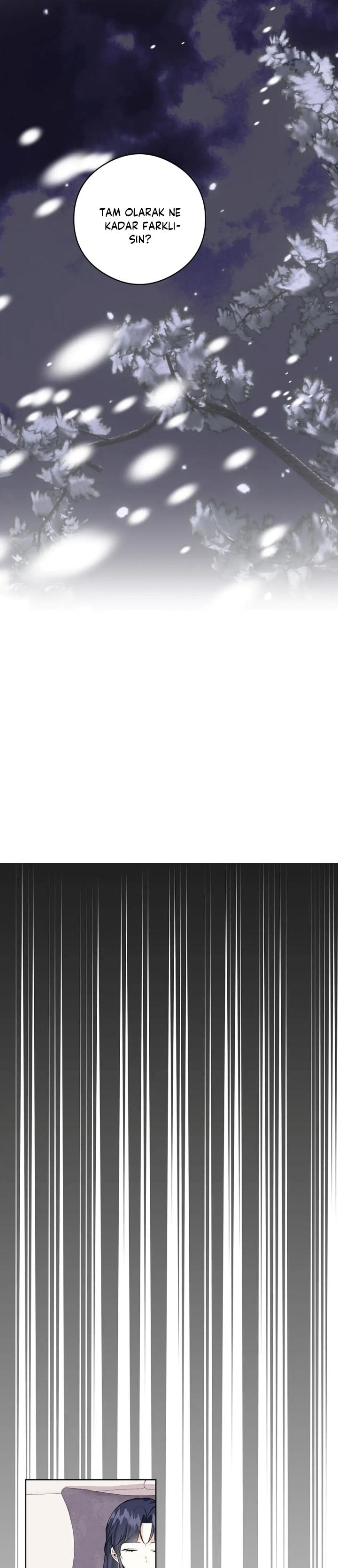 9-cmc1vvo430025phxcd4xhnki2