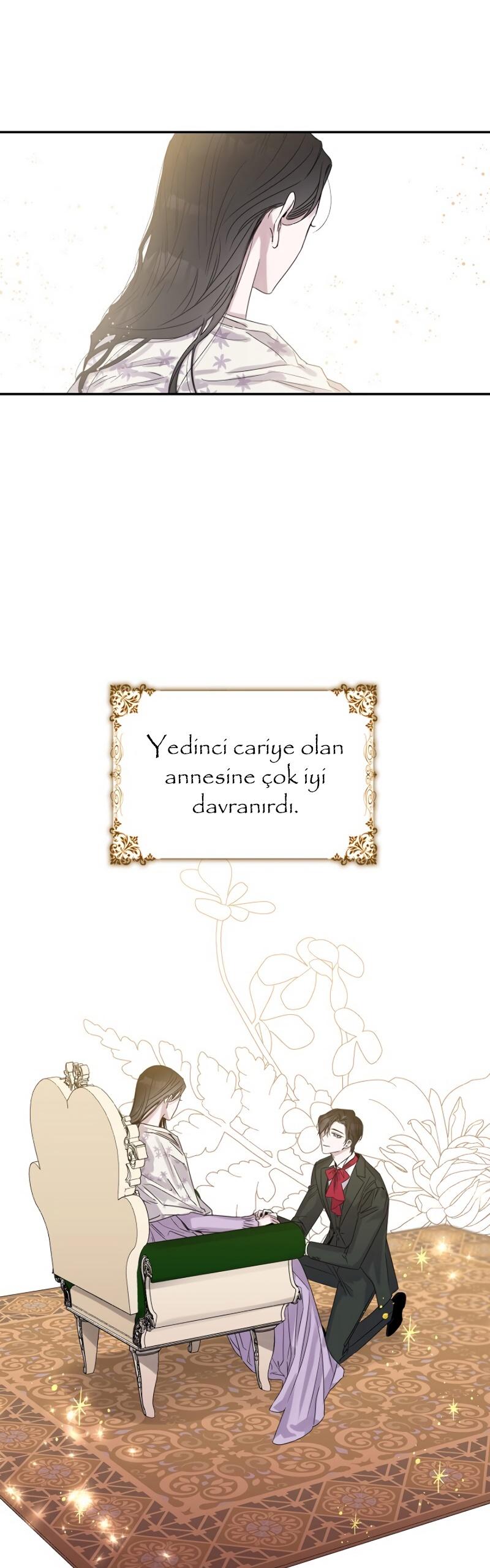 3-cm2xdfr0s0001tt82570od8ls