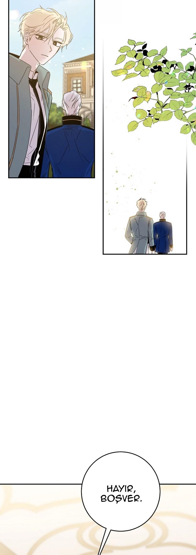 41-cm2xdfr0s0001tt82570od8ls