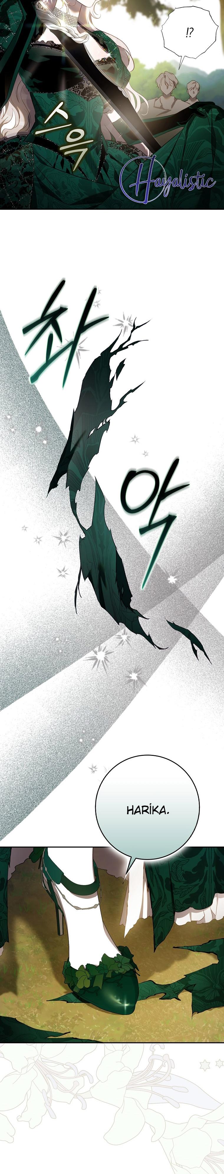 24-cm2xdfr0s0001tt82570od8ls