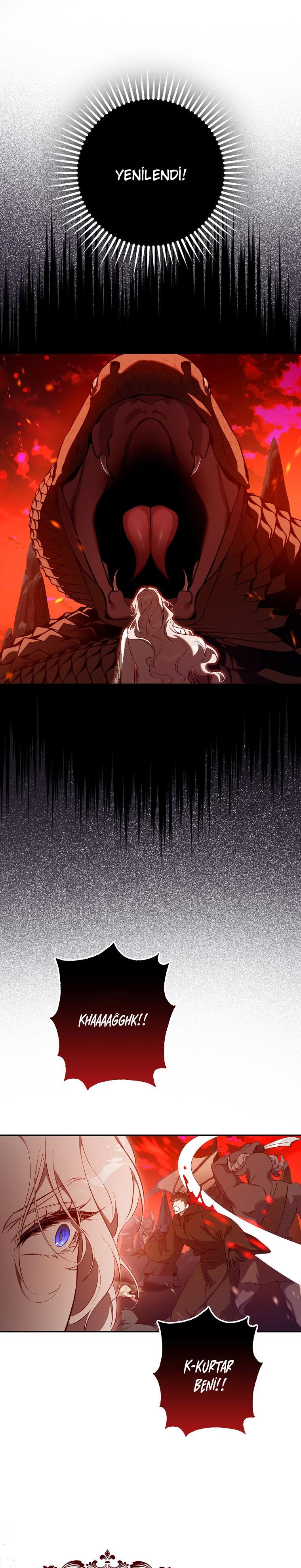12-cm2xdfr0s0001tt82570od8ls