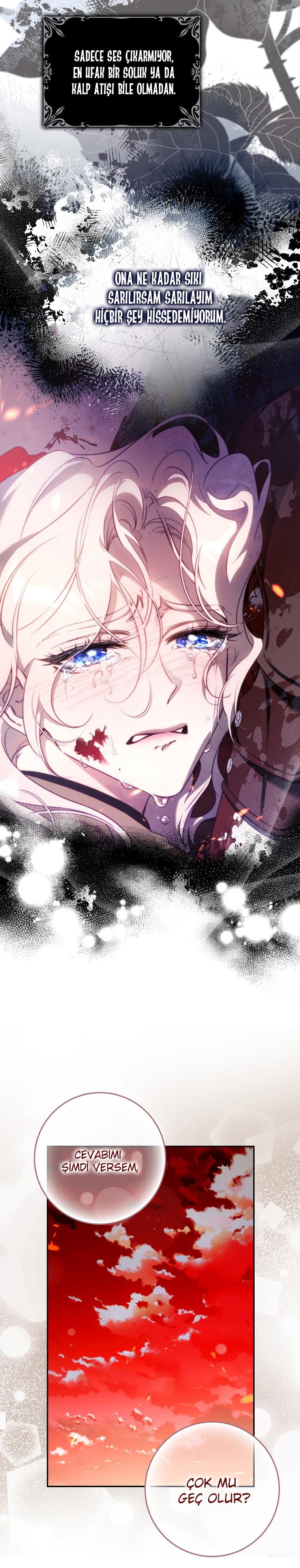 7-cm2xdfr0s0001tt82570od8ls