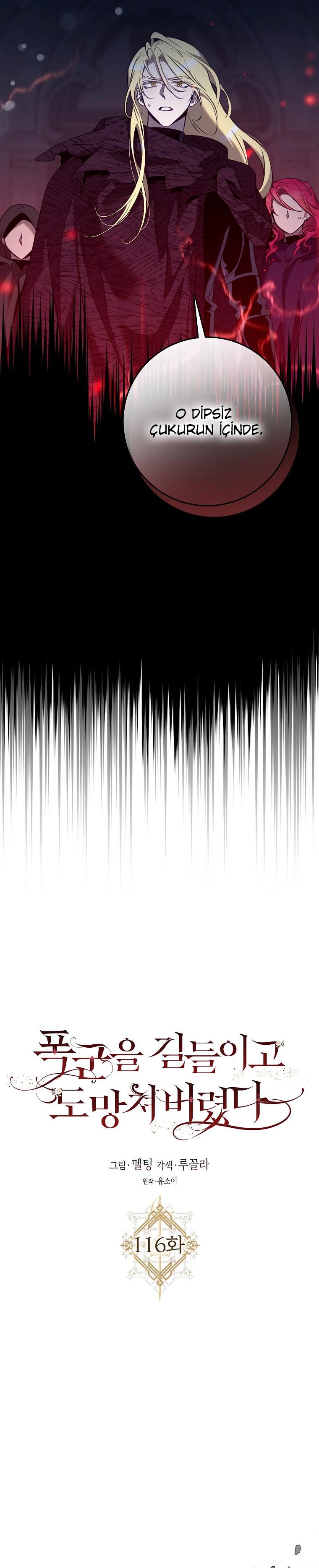 11-cm2xdfr0s0001tt82570od8ls