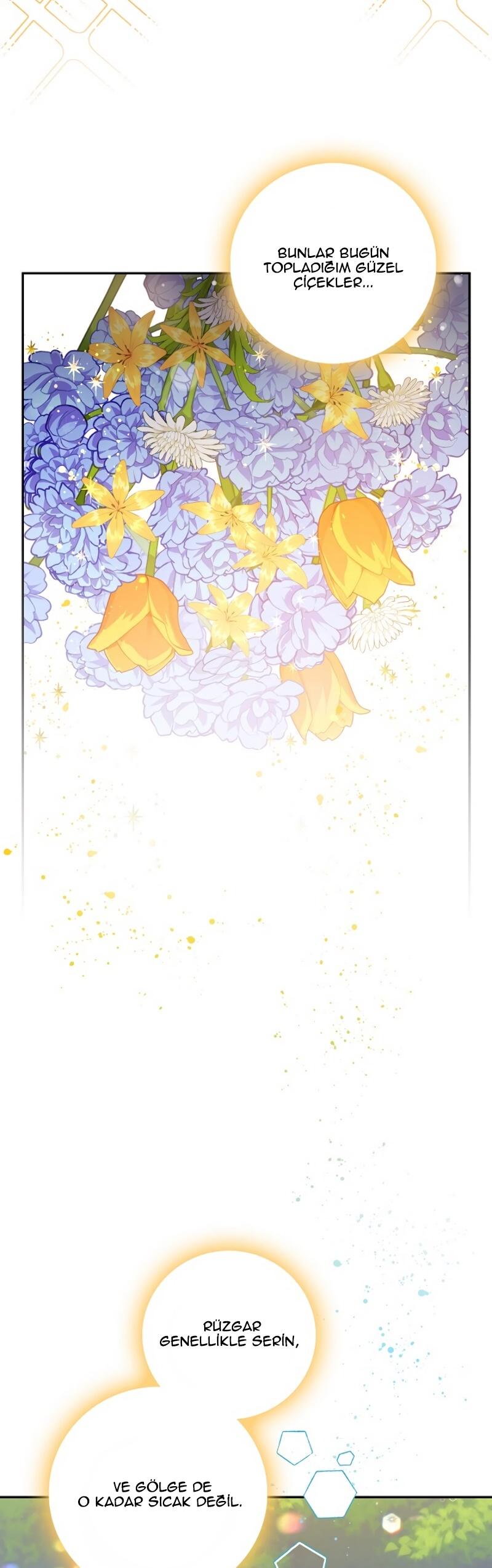 6-cm2xdfr0s0001tt82570od8ls