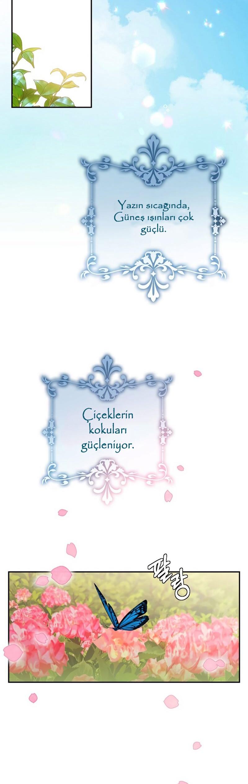 11-cm2xdfr0s0001tt82570od8ls