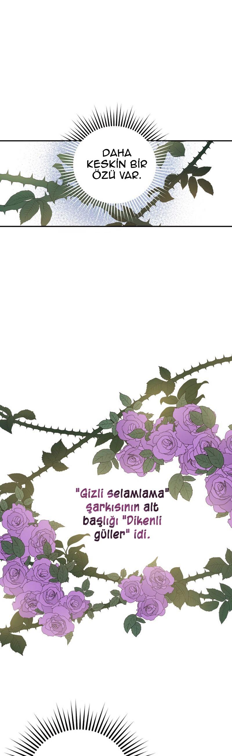 20-cm2xdfr0s0001tt82570od8ls