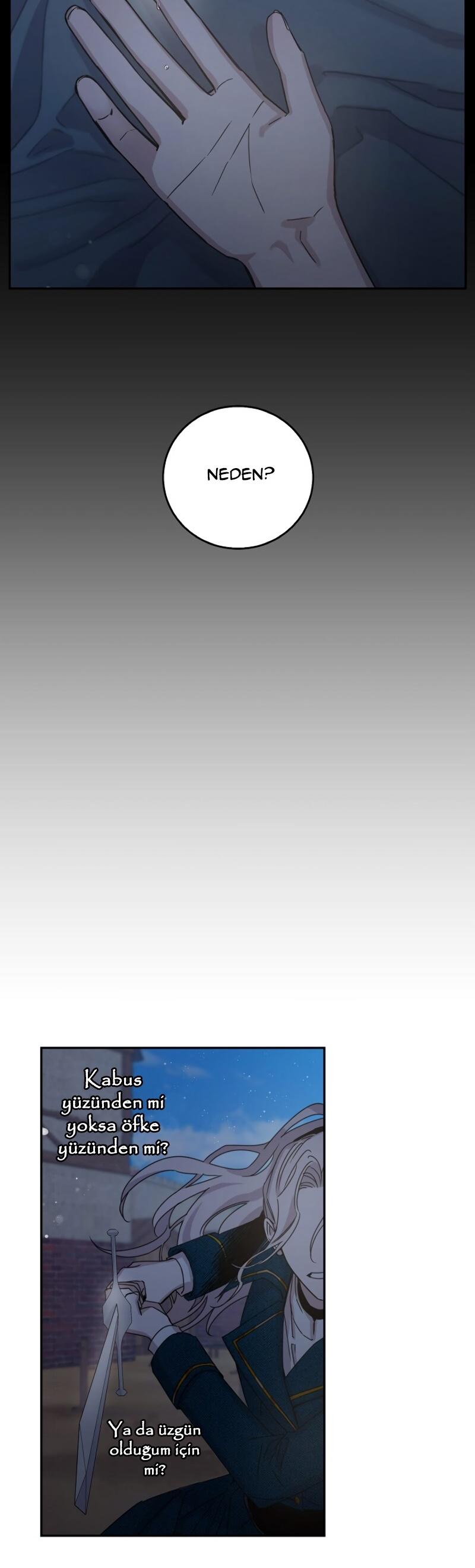 5-cm2xdfr0s0001tt82570od8ls