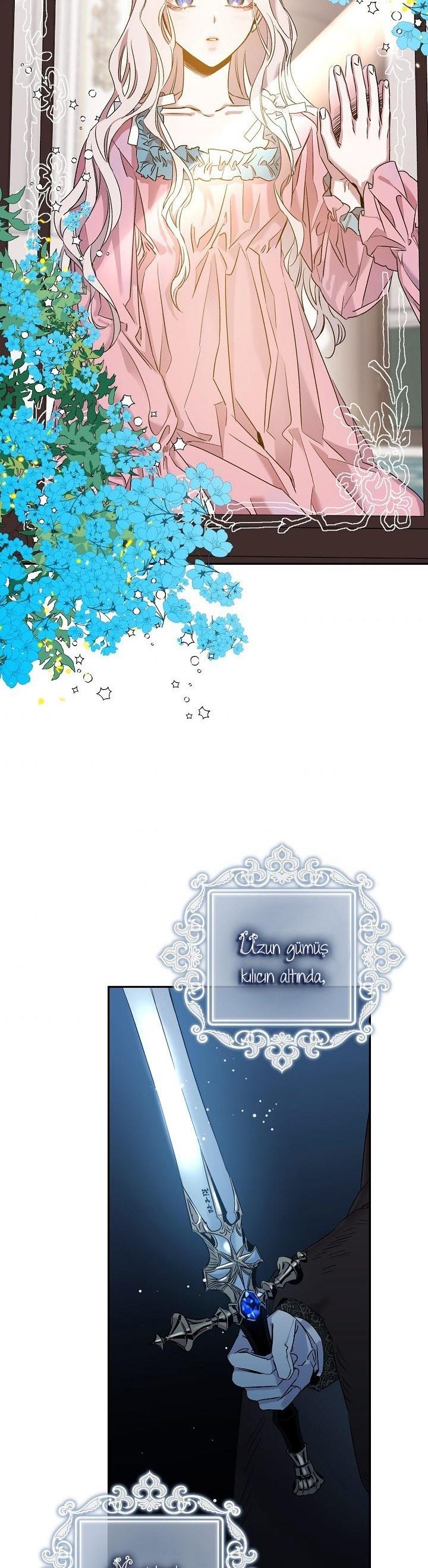 3-cm2xdfr0s0001tt82570od8ls