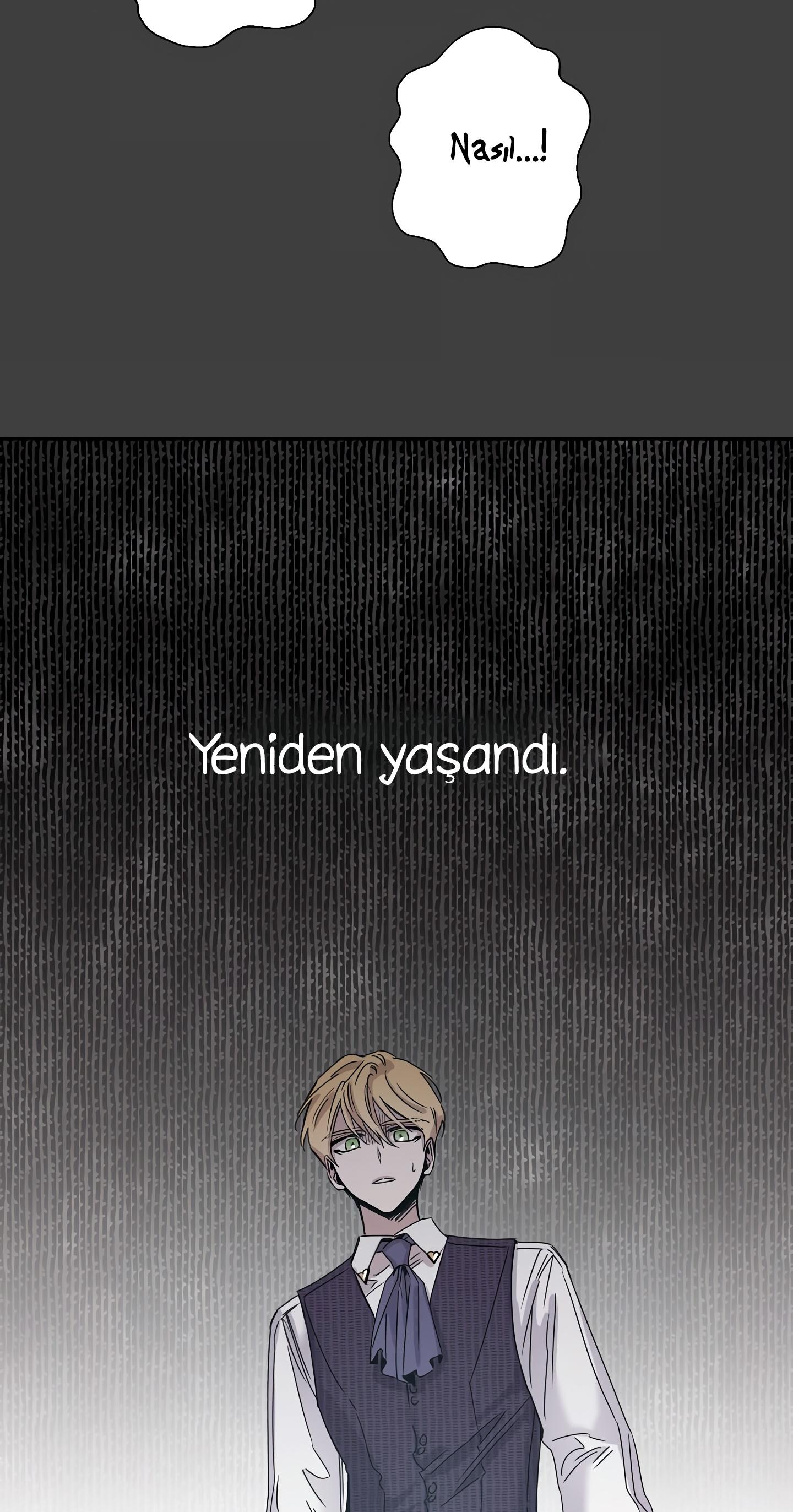11-cm2xdfr0s0001tt82570od8ls