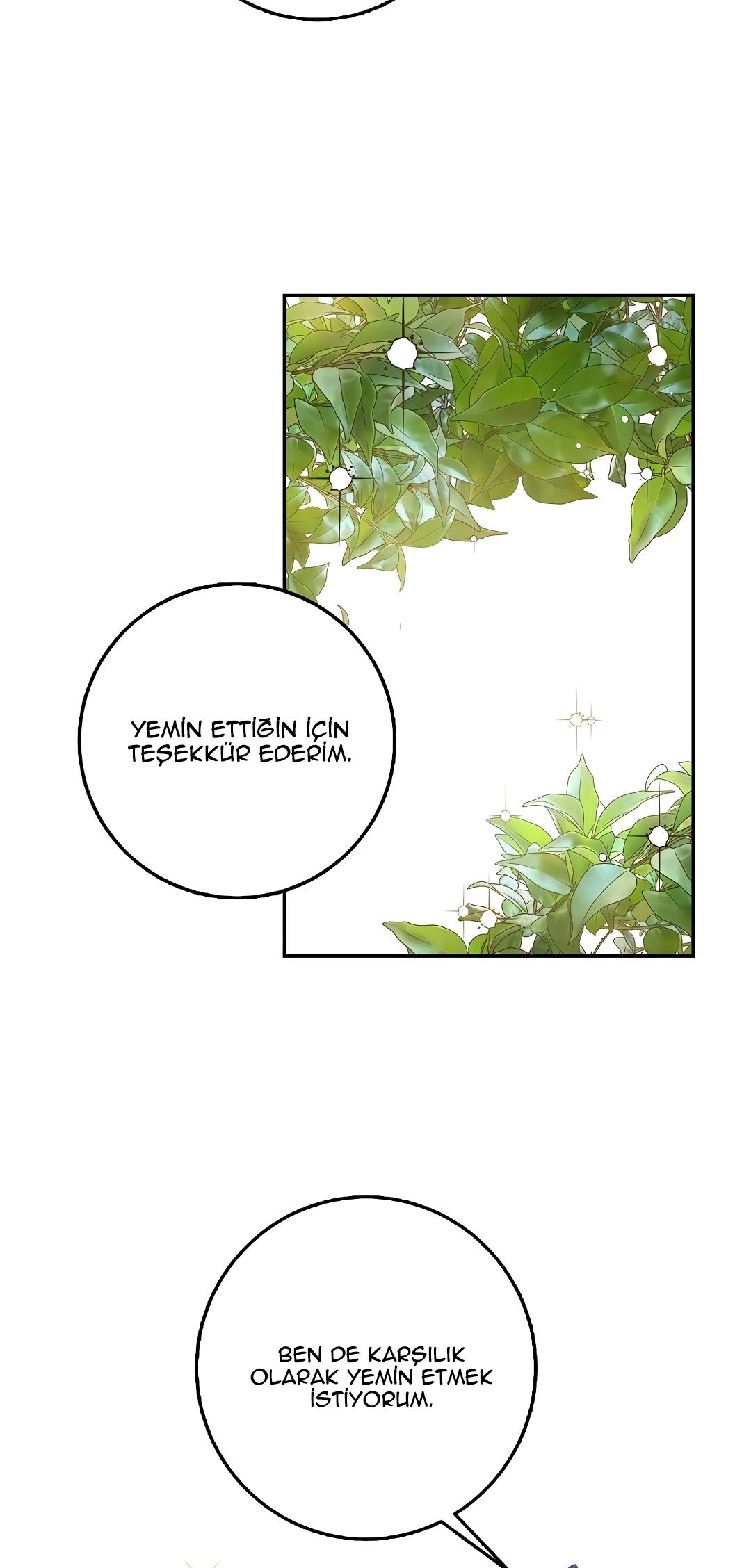 27-cm2xdfr0s0001tt82570od8ls