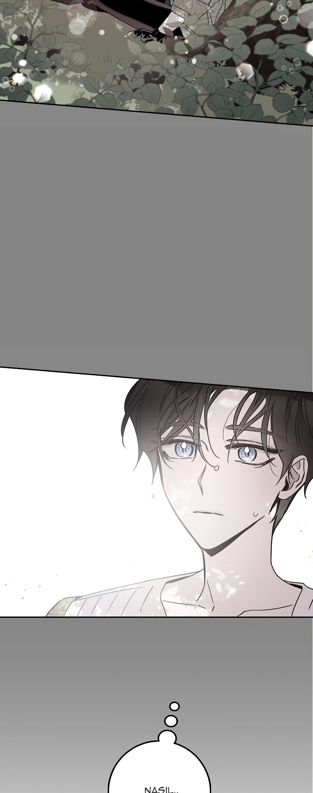 53-cm2xdfr0s0001tt82570od8ls