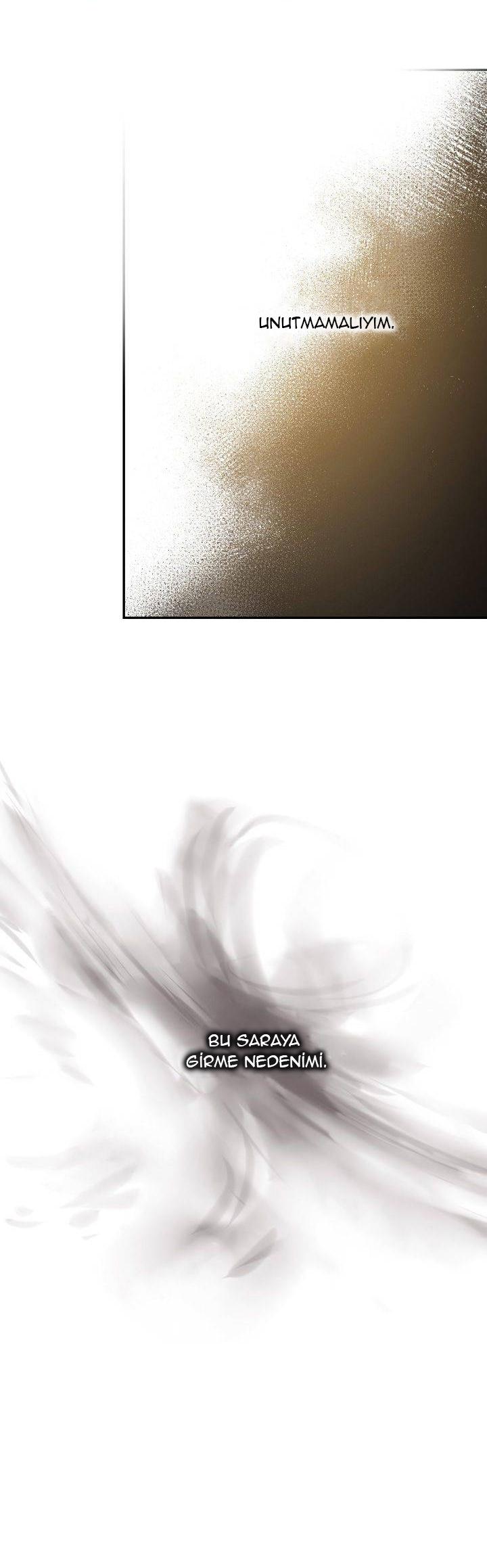 37-cm2xdfr0s0001tt82570od8ls