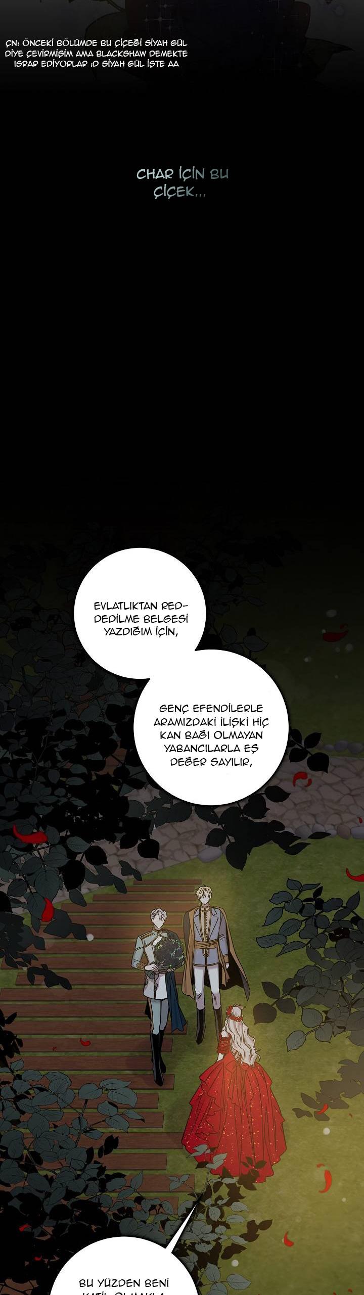 3-cm2xdfr0s0001tt82570od8ls