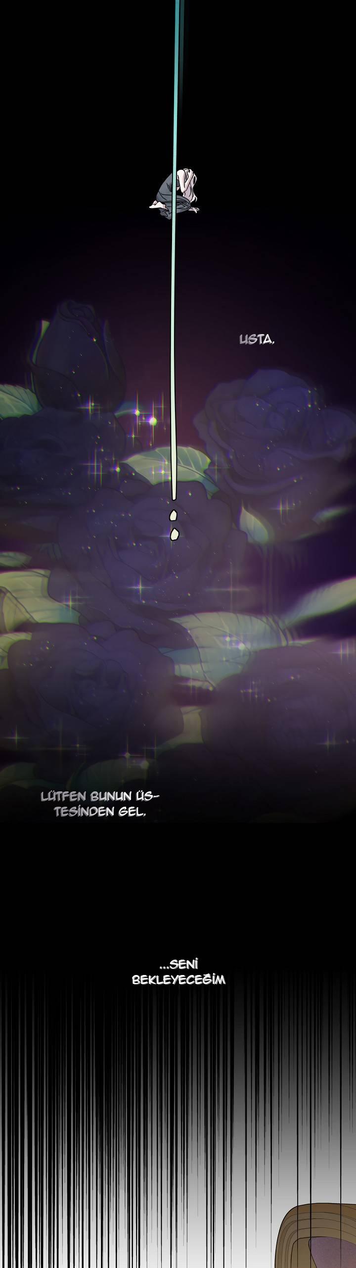 11-cm2xdfr0s0001tt82570od8ls