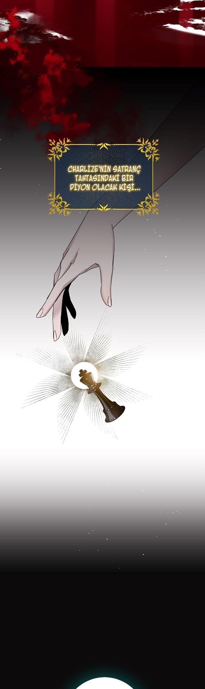 12-cm2xdfr0s0001tt82570od8ls