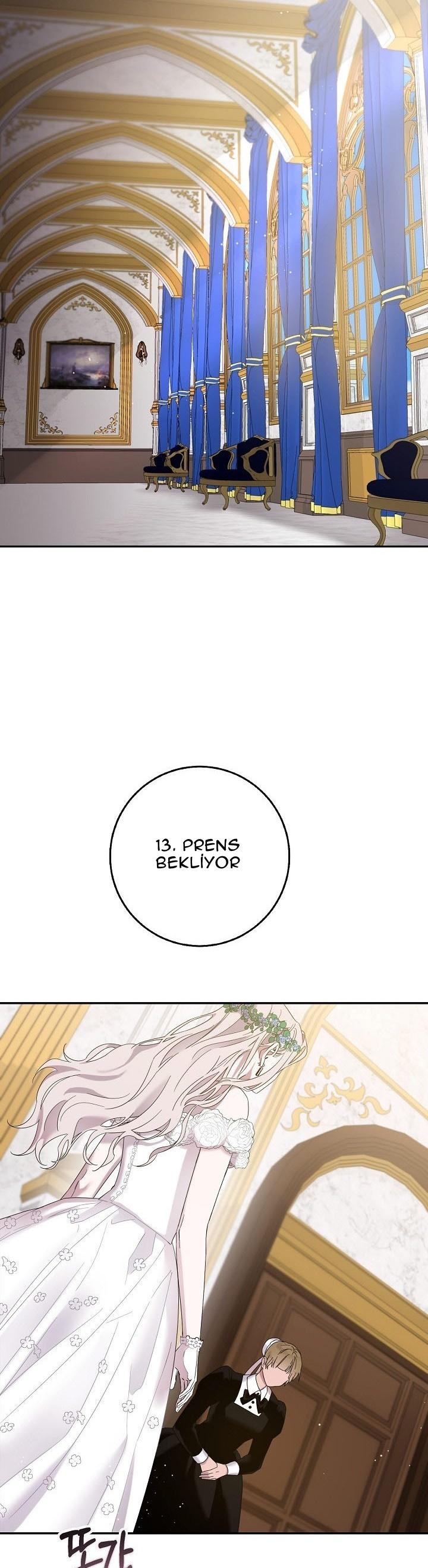 8-cm2xdfr0s0001tt82570od8ls