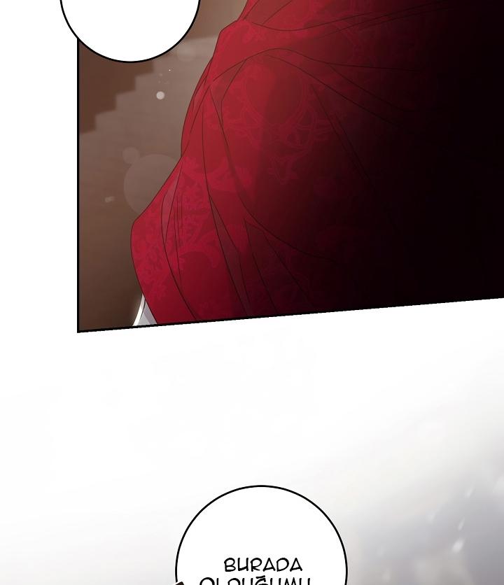 11-cm2xdfr0s0001tt82570od8ls