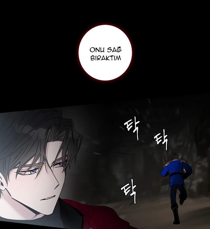 33-cm2xdfr0s0001tt82570od8ls