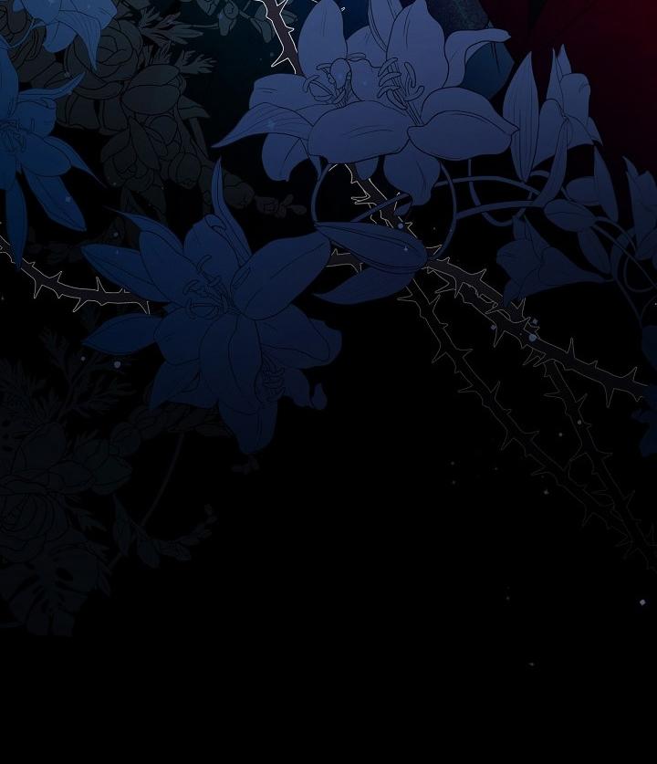 64-cm2xdfr0s0001tt82570od8ls