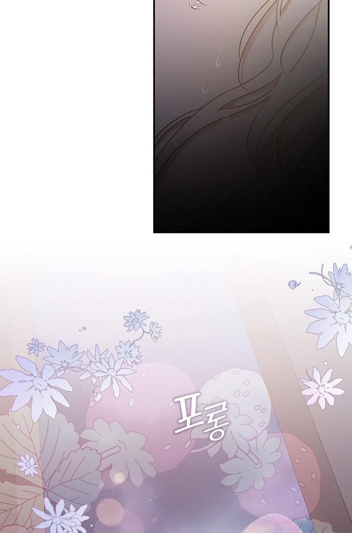 95-cm2xdfr0s0001tt82570od8ls