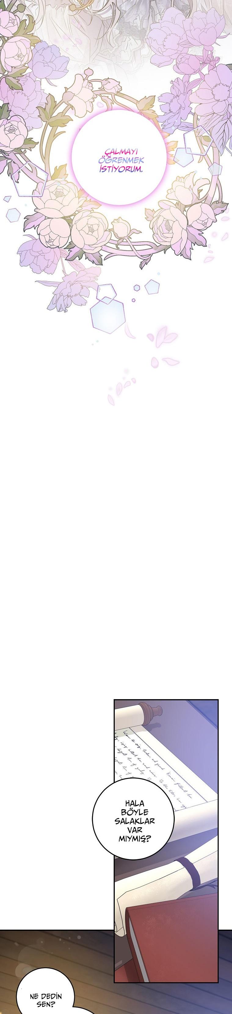 20-cm2xdfr0s0001tt82570od8ls