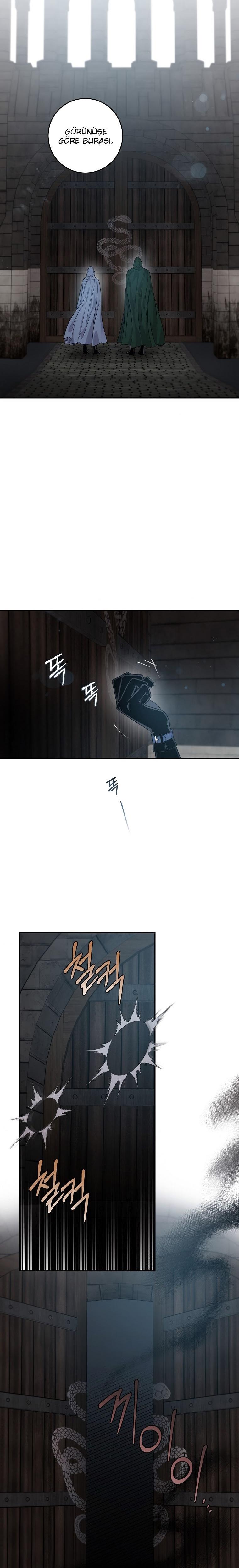 18-cm2xdfr0s0001tt82570od8ls