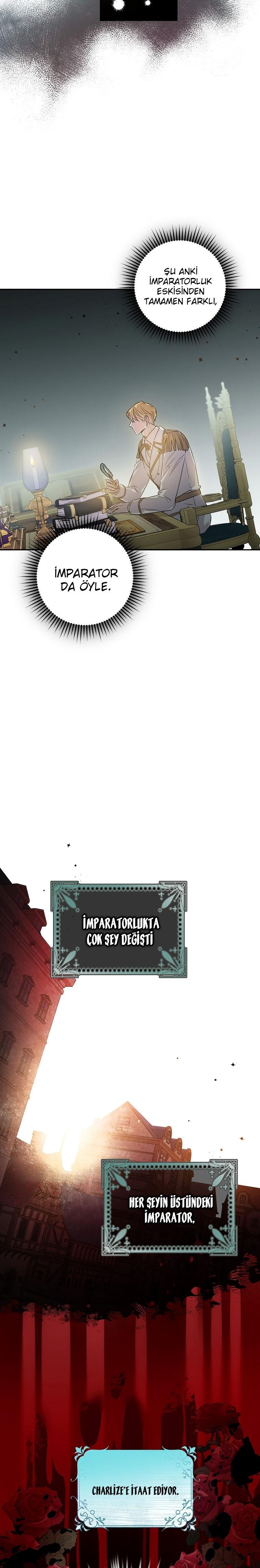 14-cm2xdfr0s0001tt82570od8ls