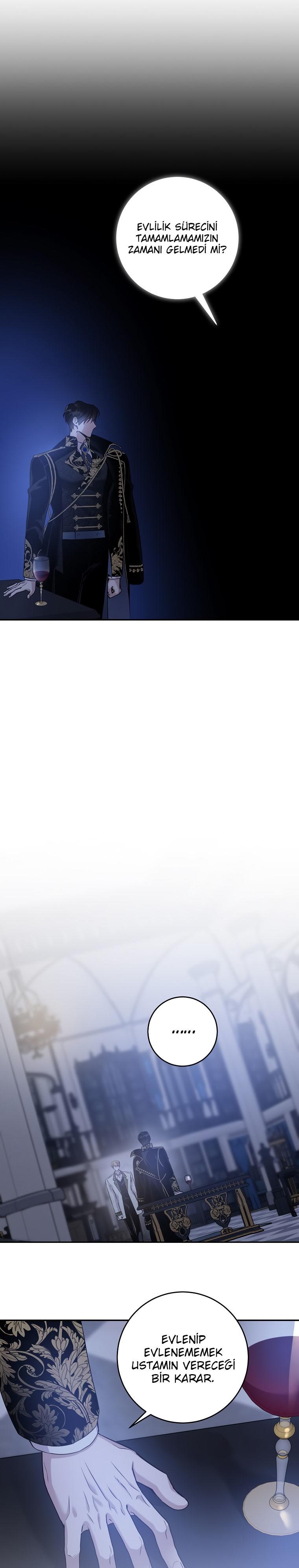 20-cm2xdfr0s0001tt82570od8ls