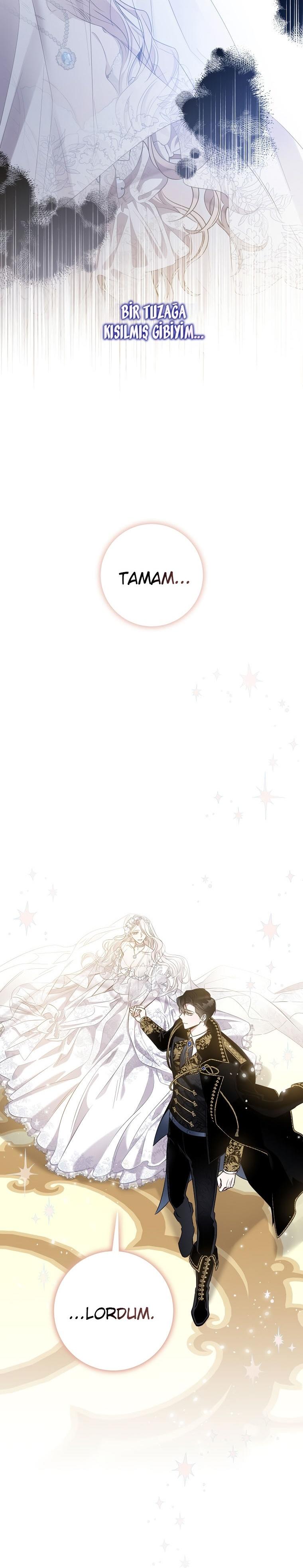 7-cm2xdfr0s0001tt82570od8ls