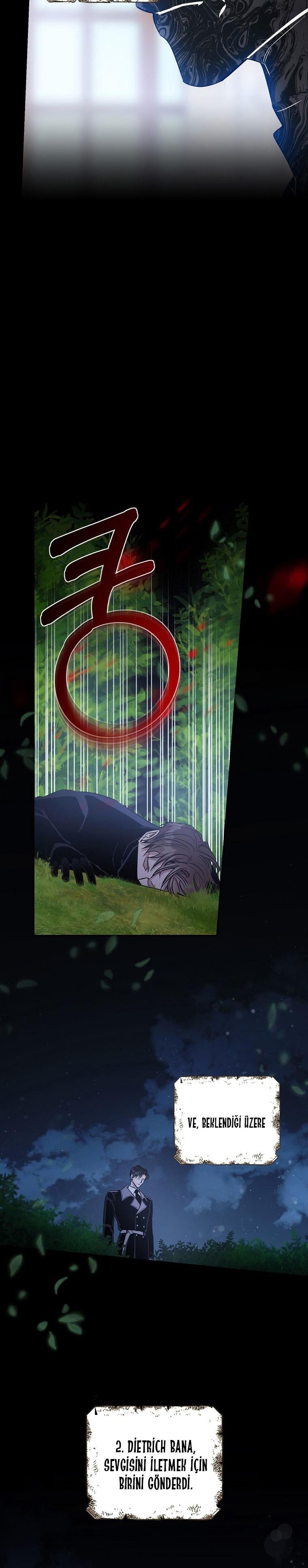 11-cm2xdfr0s0001tt82570od8ls