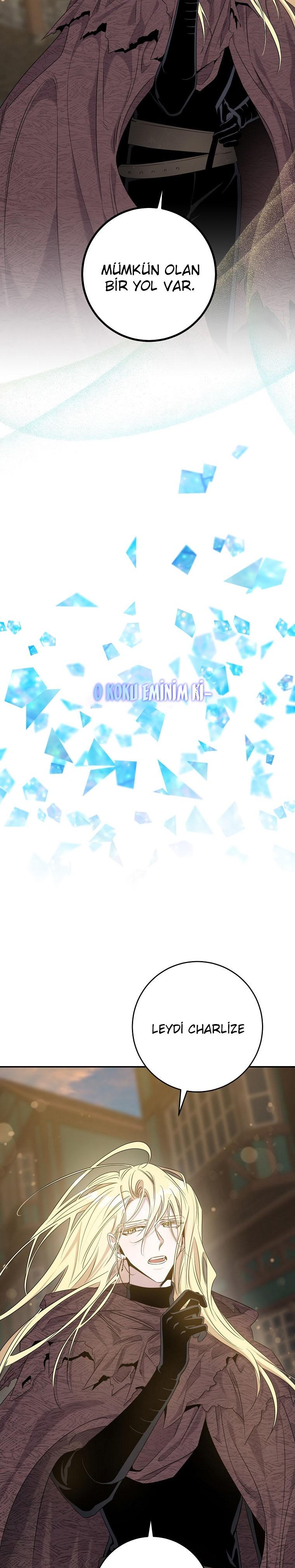 12-cm2xdfr0s0001tt82570od8ls