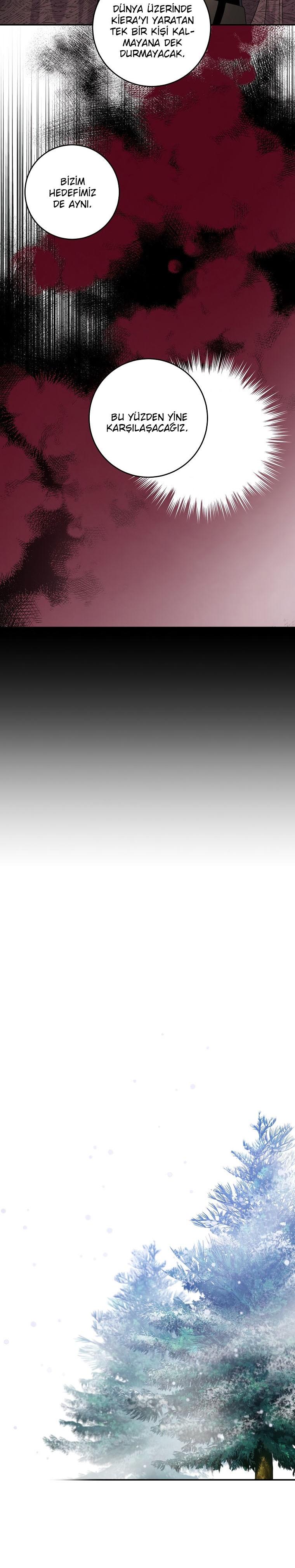 13-cm2xdfr0s0001tt82570od8ls