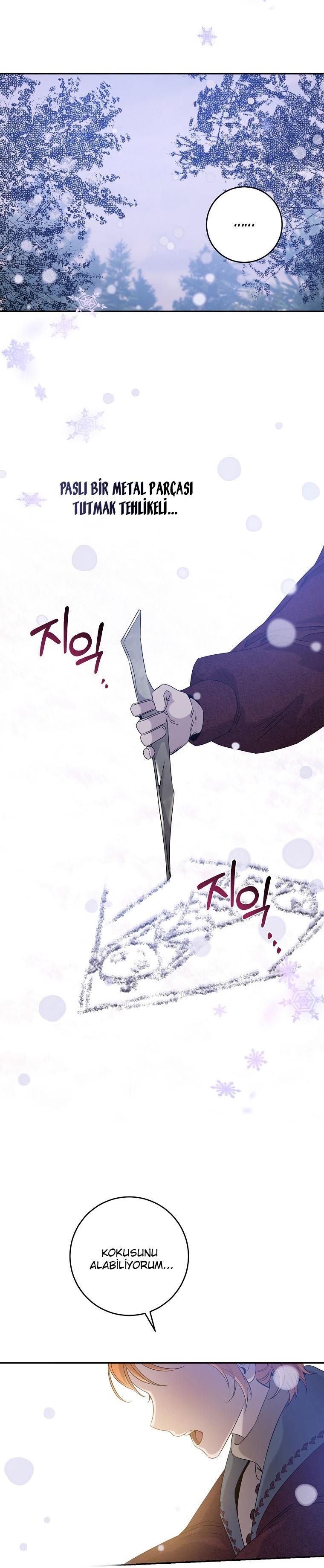 26-cm2xdfr0s0001tt82570od8ls