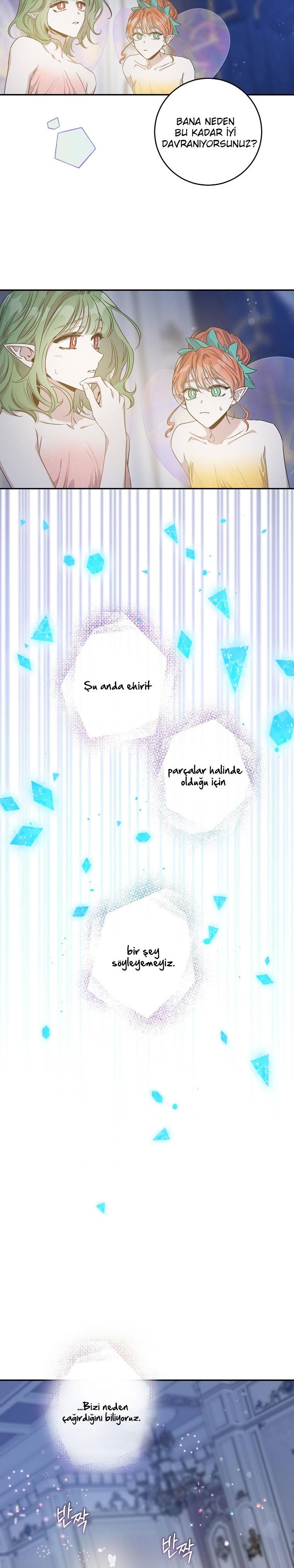 5-cm2xdfr0s0001tt82570od8ls