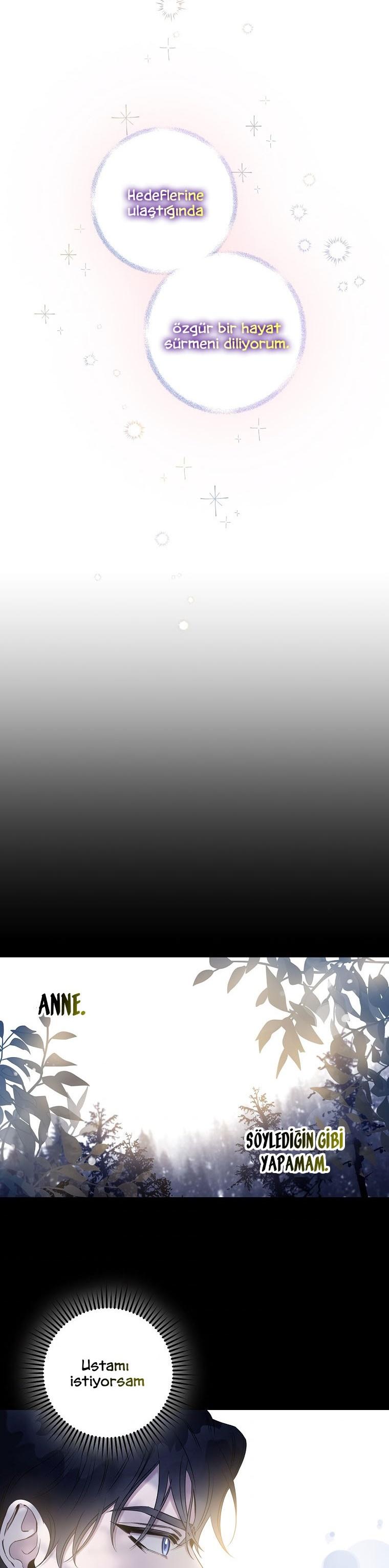 2-cm2xdfr0s0001tt82570od8ls