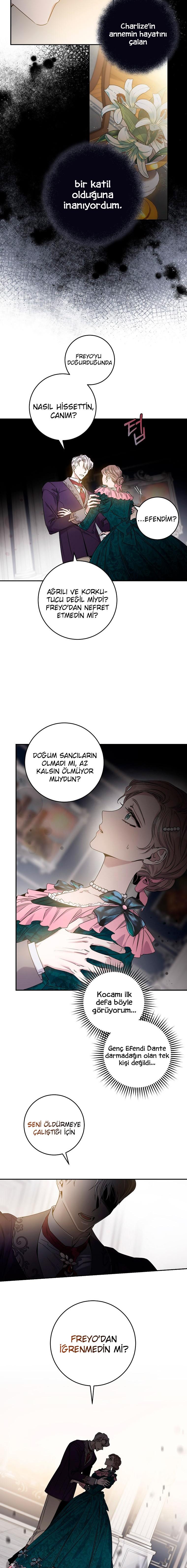 8-cm2xdfr0s0001tt82570od8ls