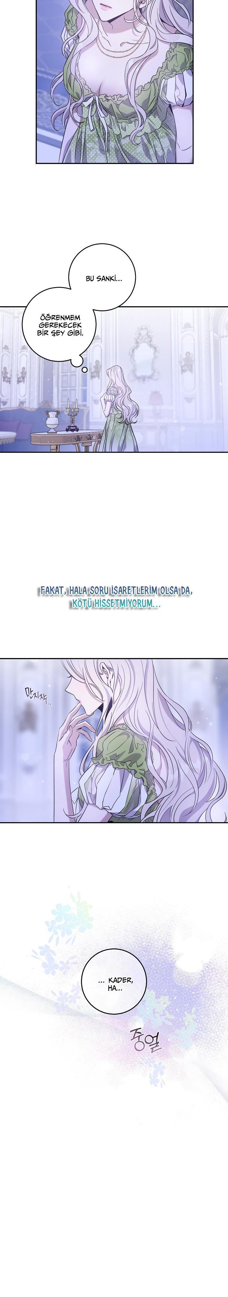13-cm2xdfr0s0001tt82570od8ls