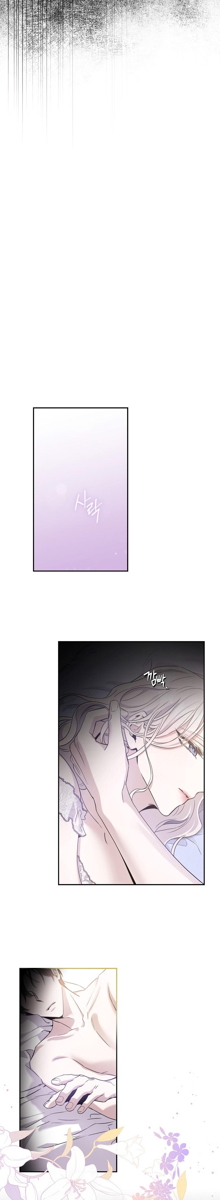 24-cm2xdfr0s0001tt82570od8ls