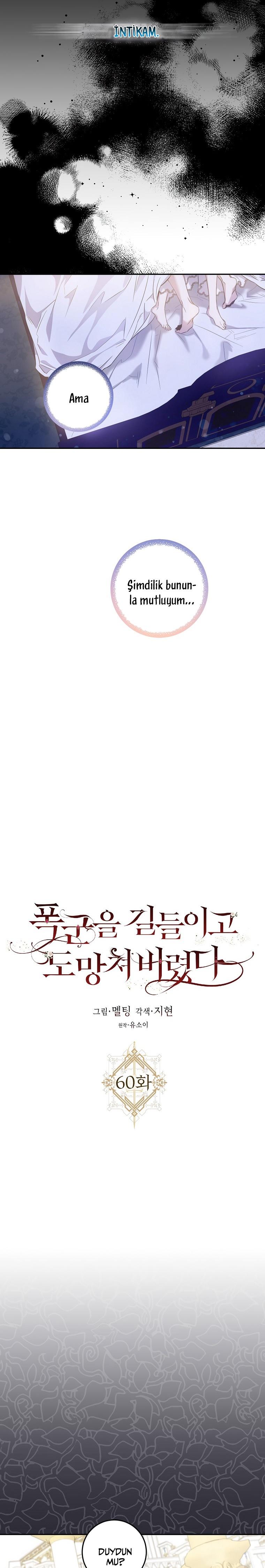 7-cm2xdfr0s0001tt82570od8ls