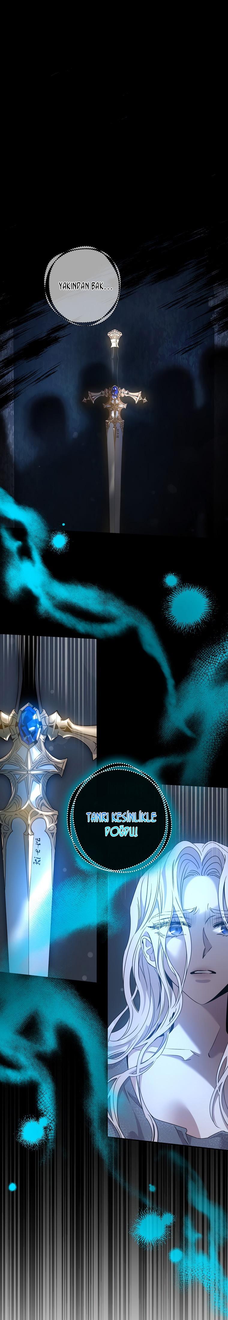 2-cm2xdfr0s0001tt82570od8ls