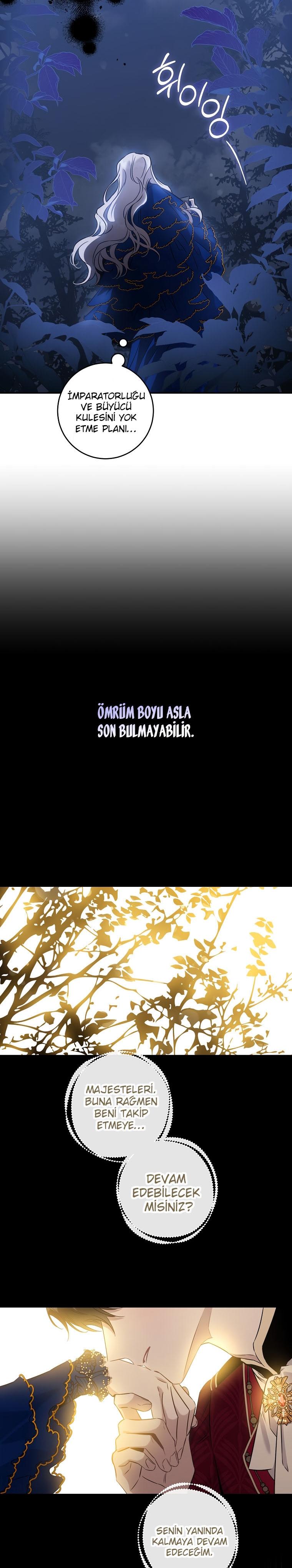 3-cm2xdfr0s0001tt82570od8ls