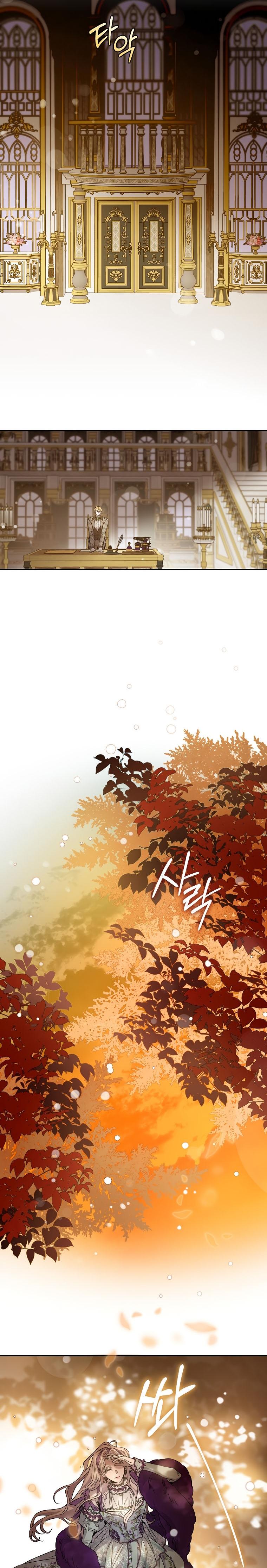 14-cm2xdfr0s0001tt82570od8ls
