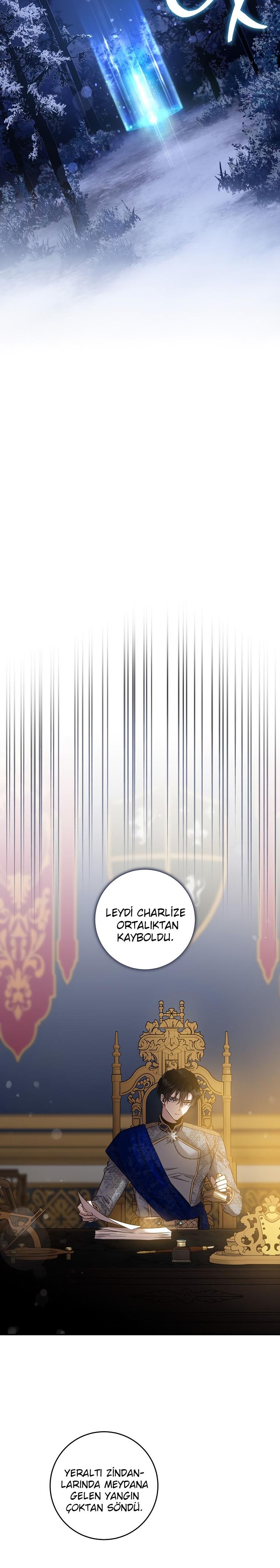 18-cm2xdfr0s0001tt82570od8ls